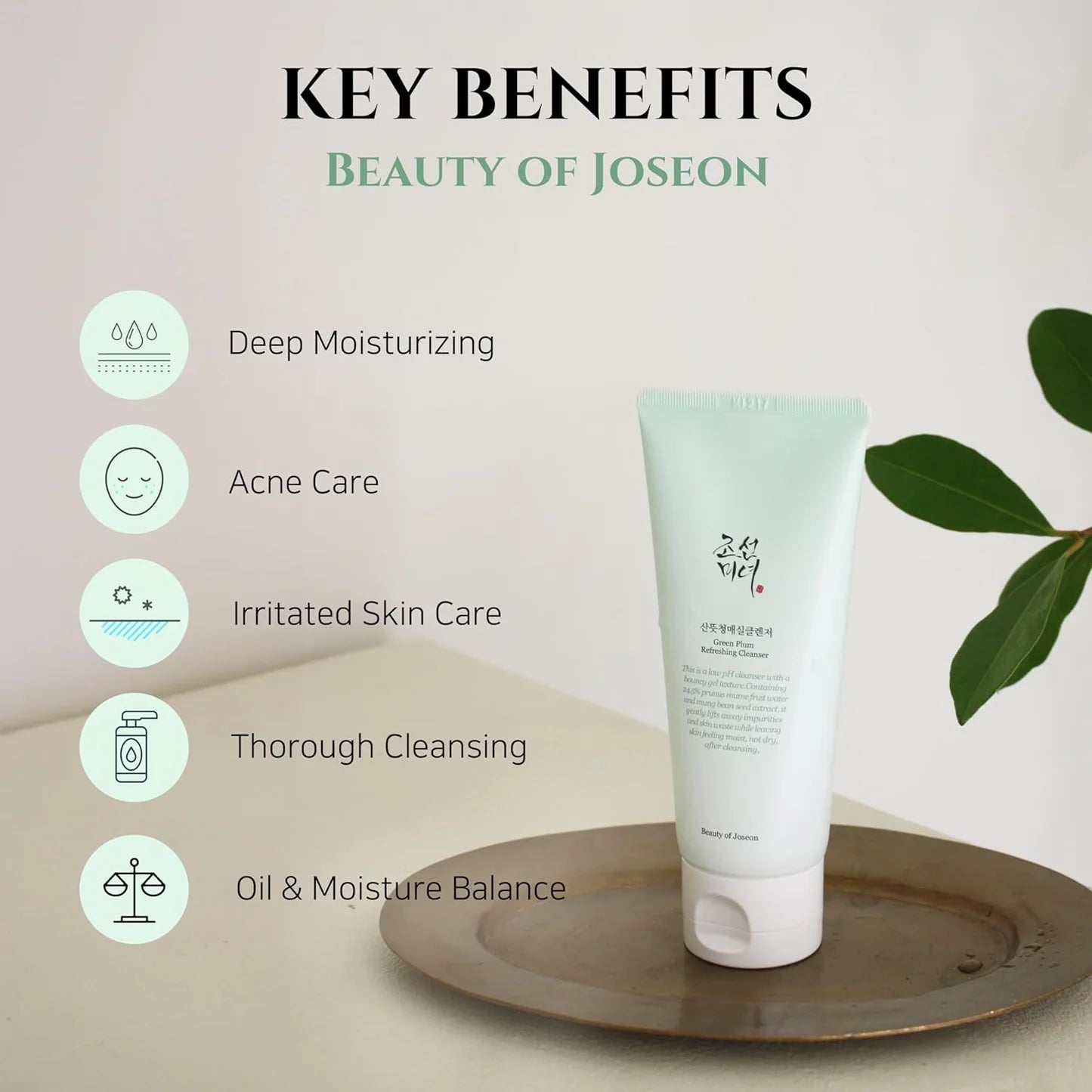 Green Plum Refreshing Cleanser 100ml
