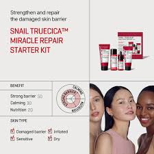 Snail Truecica Miracle Repair Starter Kit – 4-Delige Herstelroutine