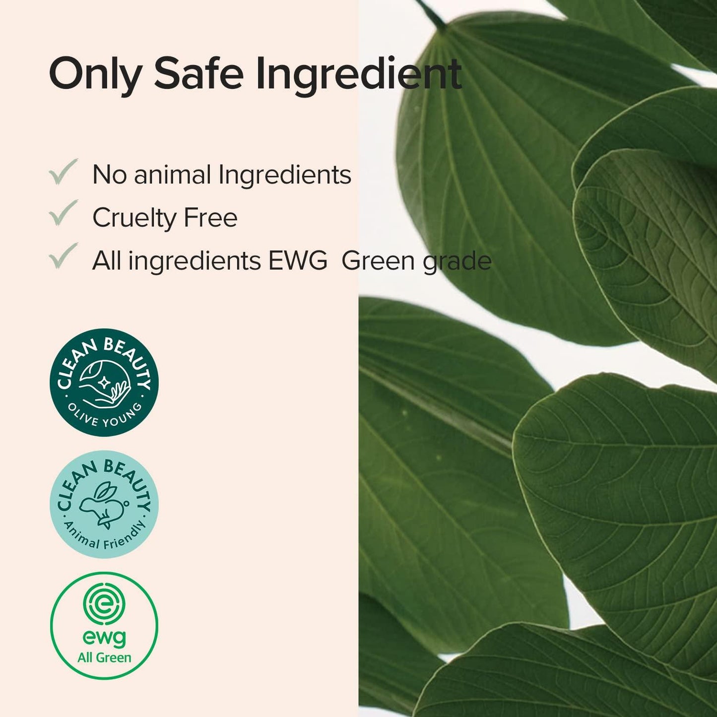 Gluconolactone (PHA)+Betula Alba Juice Cleansing Pad
