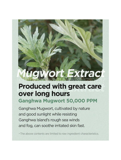 Mugwort Calming Cream – Verzachtend & Kalmerend 50ml